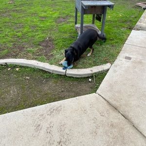 Meet your Posher, Keith